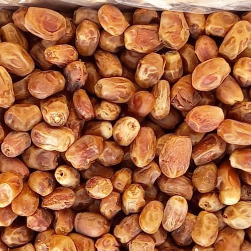 تصویر 3 از قیمت خرمای زاهدی + خرید باور نکردنی